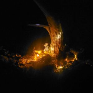 Mushroom Fairy Antler Tree