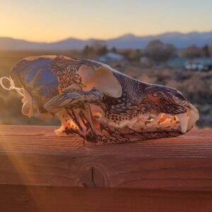Ornate Coyote Skull