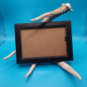 5x7 Antler Picture Holder