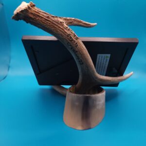 5×7 Antler Picture Holder