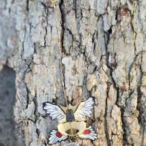 Mystic Vertifly Suncatcher