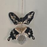 Swallowtail Vertifly
